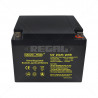 Securi-Prod Battery 12V 25Ah SLA