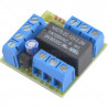 Relay - On-board Double Pole AC/DC