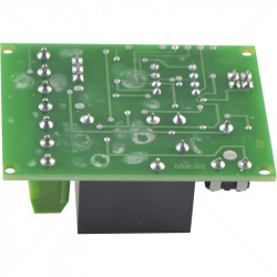Trigger Delay Module