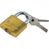 Padlock - TriCircle 50mm Brass