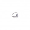 Paxton Net2 Watchprox - Silver -HiTag2 - 10 Pack