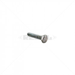 W Screw - M6*30 M/S Bolt
